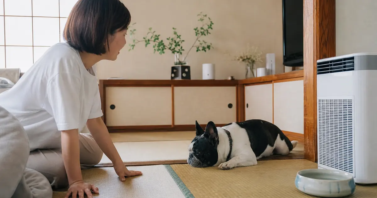 涼しい室内で水のそばに休むフレンチブルドッグを見守る飼い主。