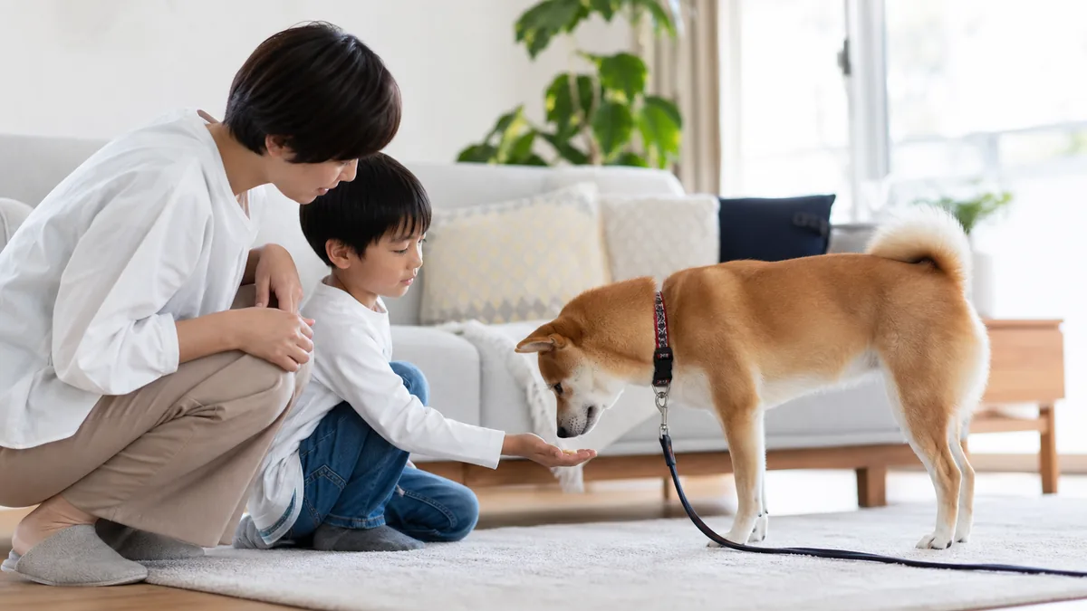 大人の見守りで子どもと犬が無理なく対面する様子