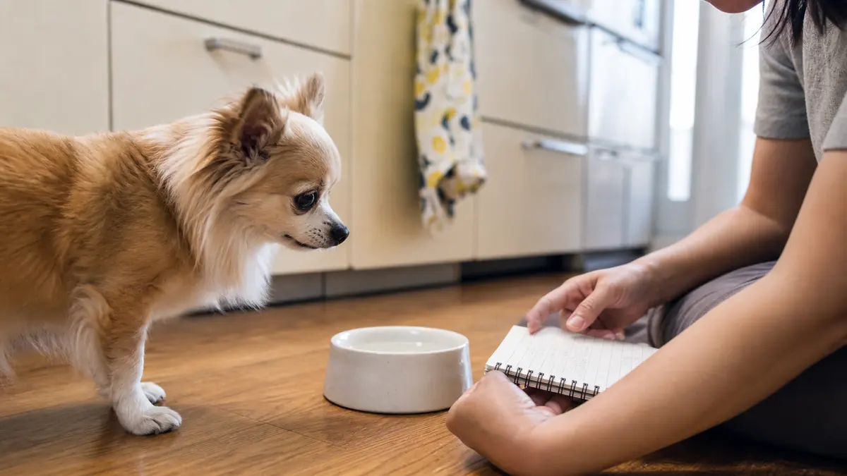 吐いた時間や食事内容をメモしながら犬を見守る飼い主