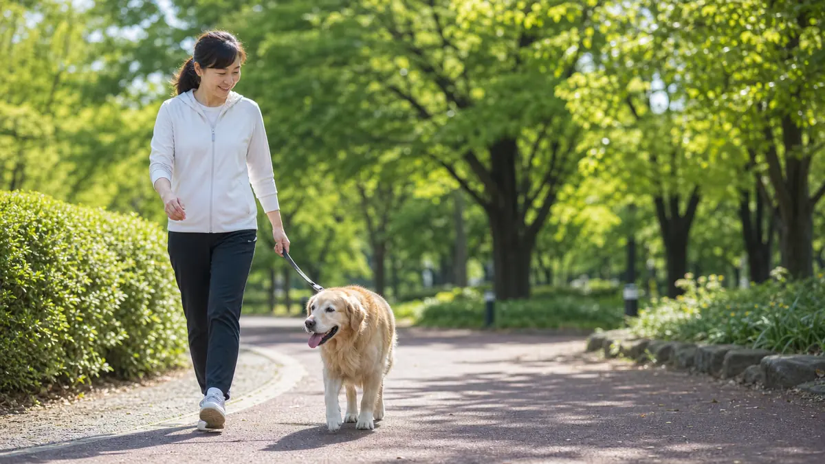 無理のない散歩で犬の体重管理を続ける飼い主